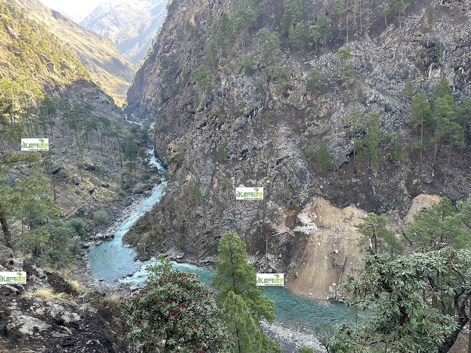 सिमकोटको सडक सपनाः चैतमा राष्ट्रिय सडक सञ्जालमा जोडिदैं